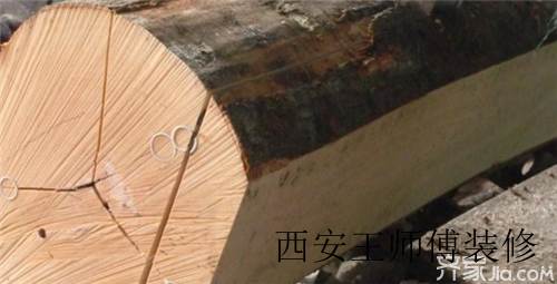 关于世界名贵木材排名 你知道几个？