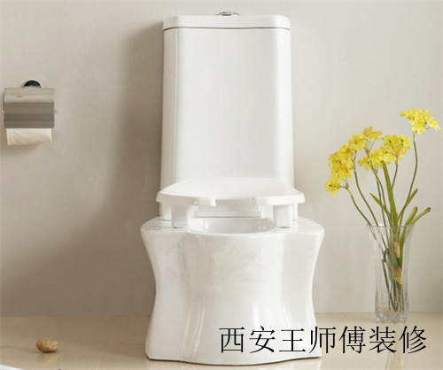 蹲坐两用式便器的优缺点有哪些 坐蹲两用马桶的利弊分析