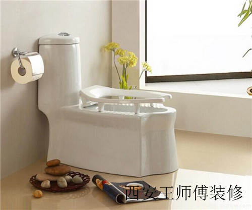 蹲坐两用式便器的优缺点有哪些 坐蹲两用马桶的利弊分析