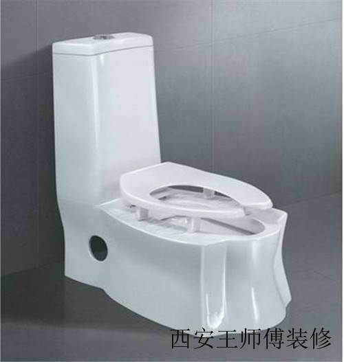 蹲坐两用式便器的优缺点有哪些 坐蹲两用马桶的利弊分析