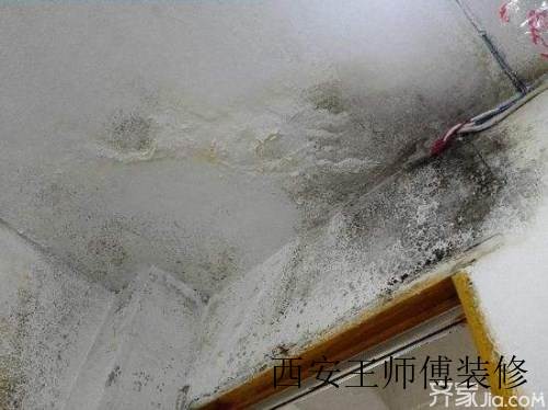 房屋墙面漏水怎么办 墙面漏水修补方法