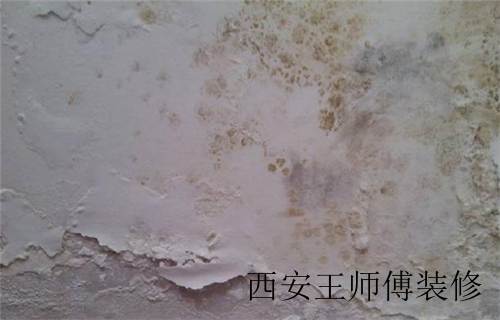 乳胶漆墙面发霉 装修师傅一招就搞定