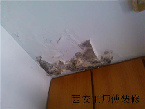 房屋漏水怎么处理 检查房屋漏水的原因