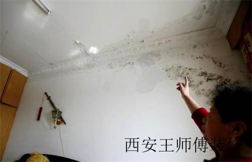 房顶漏水怎么补 别急,教你几招轻松解决！