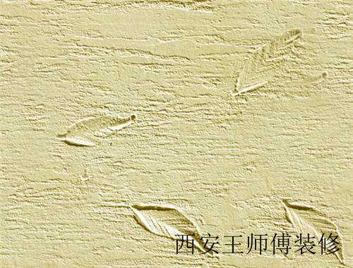 硅藻泥有毒有害吗 硅藻泥有哪些功能作用