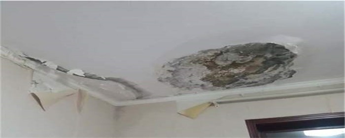 楼上漏水怎么办