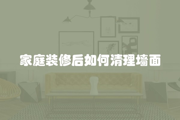 醋弄到白墙上怎么去除(白醋清洁墙面)