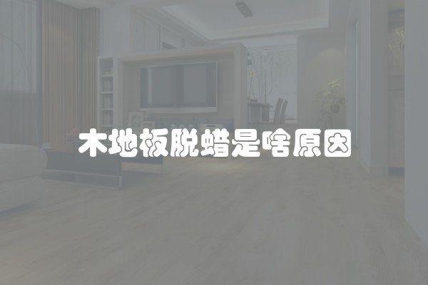 马桶品牌有哪些?马桶哪一个品牌的质量会比较好?