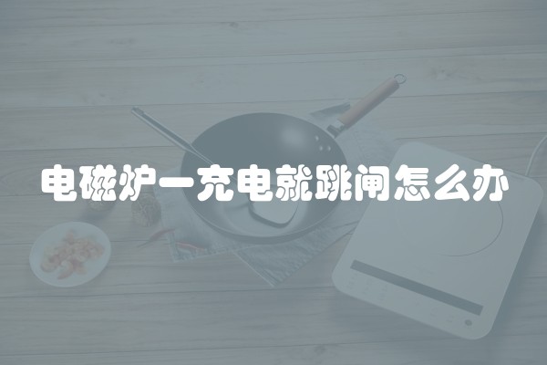 电磁炉一充电就跳闸怎么办