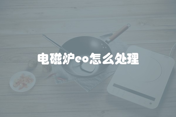 电磁炉eo怎么处理