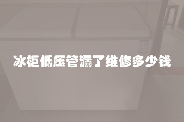 冰柜低压管漏了维修多少钱