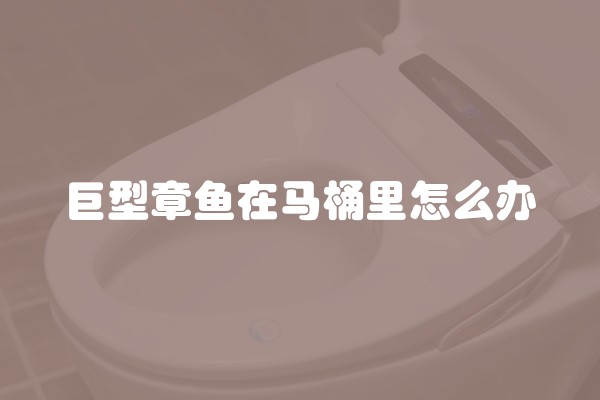 丝巾三角巾的系法