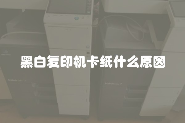 装修选用什么木材好呢？了解不同木材的特点和适用场景