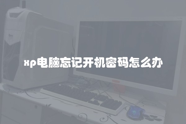 破壁机可以用来绞肉吗
