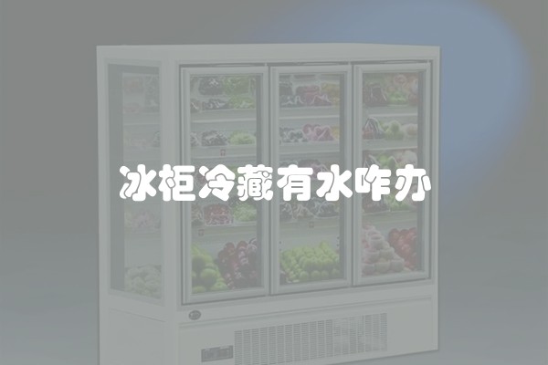 冰柜冷藏有水咋办