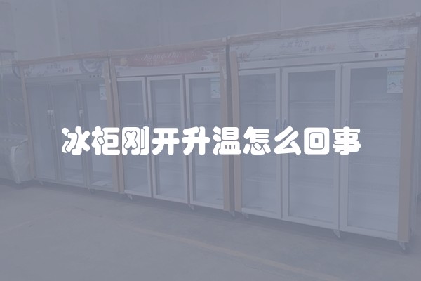 冰柜刚开升温怎么回事