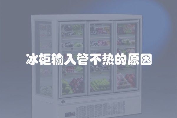 如何实现省钱又实用的装修如何在装修中实现省钱又实用