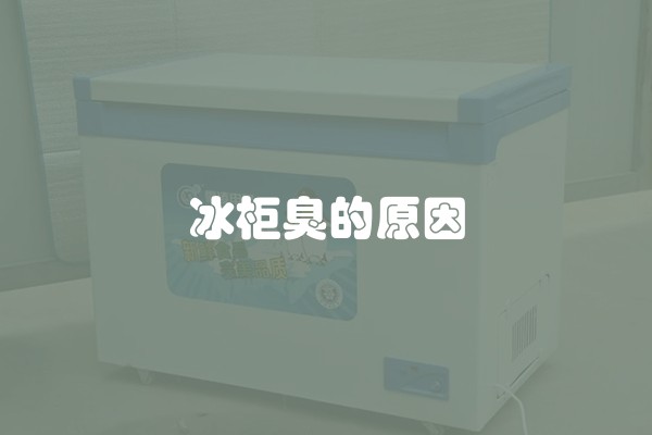 冰柜臭的原因