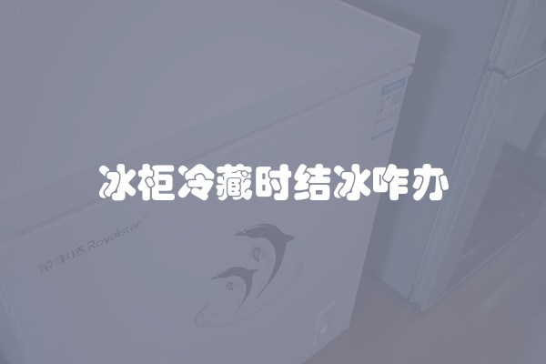 冰柜冷藏时结冰咋办