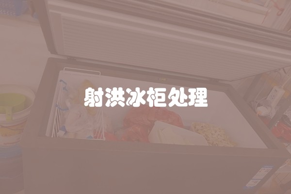 射洪冰柜处理