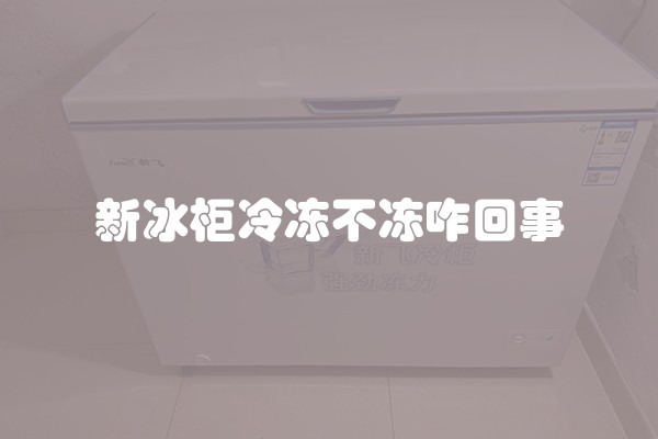 新冰柜冷冻不冻咋回事