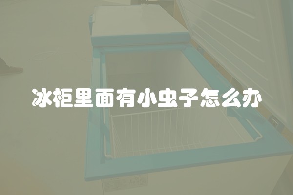 冰柜里面有小虫子怎么办