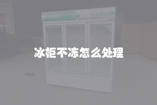 冰柜噪音怎么维修