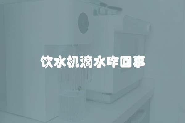 饮水机滴水咋回事