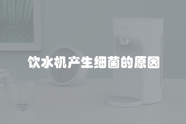 水电装修用什么水泥好？选择合适的水泥关乎装修质量和耐久性