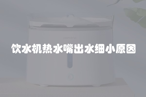 饮水机热水嘴出水细小原因