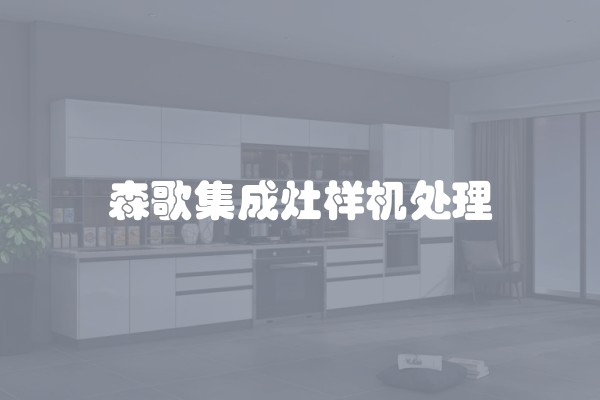 森歌集成灶样机处理