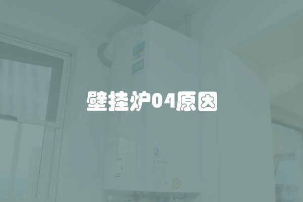 壁挂炉04原因