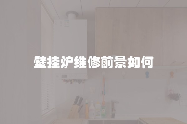壁挂炉维修前景如何