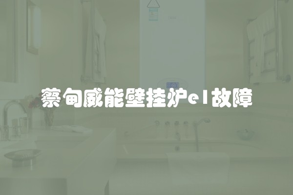 蔡甸威能壁挂炉e1故障