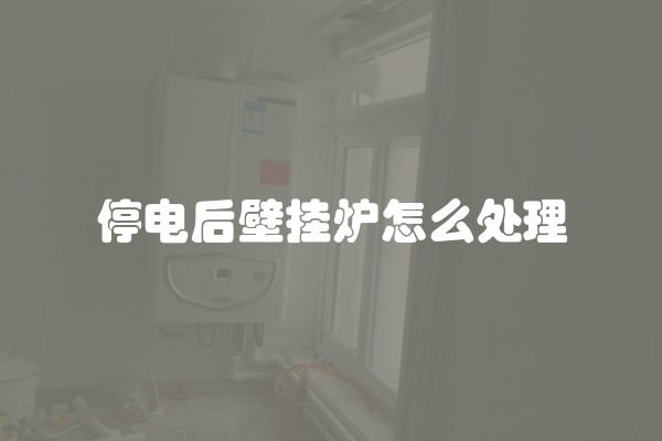 停电后壁挂炉怎么处理