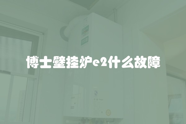 博士壁挂炉e2什么故障