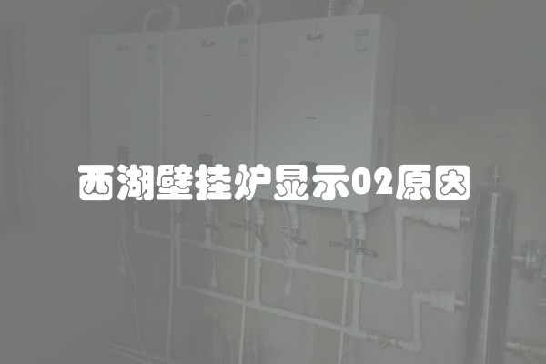 西湖壁挂炉显示02原因