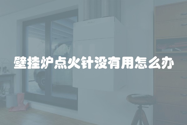壁挂炉点火针没有用怎么办