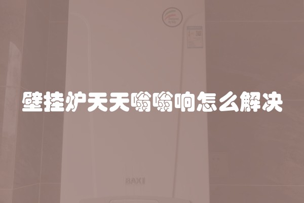 壁挂炉天天嗡嗡响怎么解决