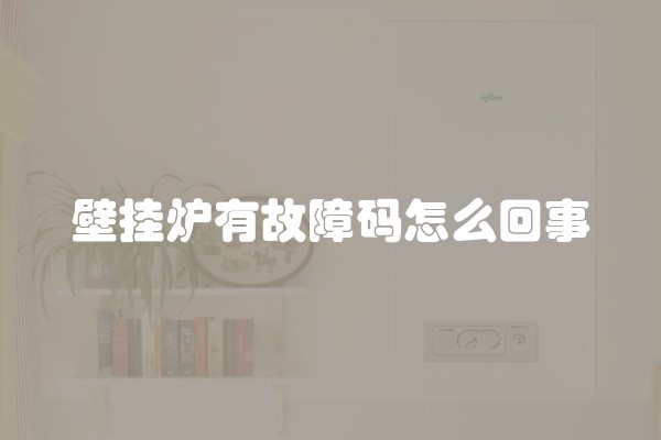壁挂炉有故障码怎么回事