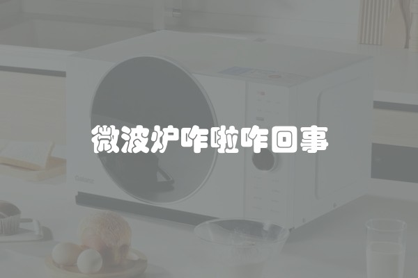 微波炉咋啦咋回事