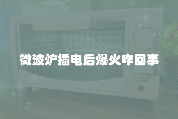 微波炉插电后爆火咋回事