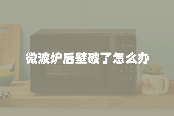微波炉后壁破了怎么办