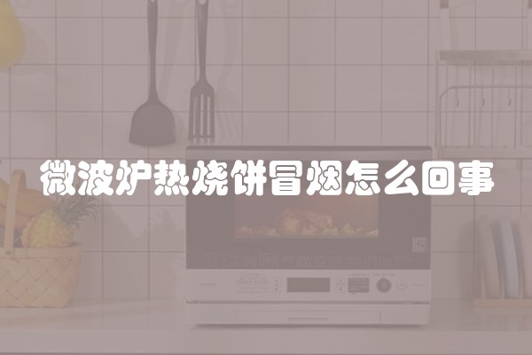 微波炉热烧饼冒烟怎么回事
