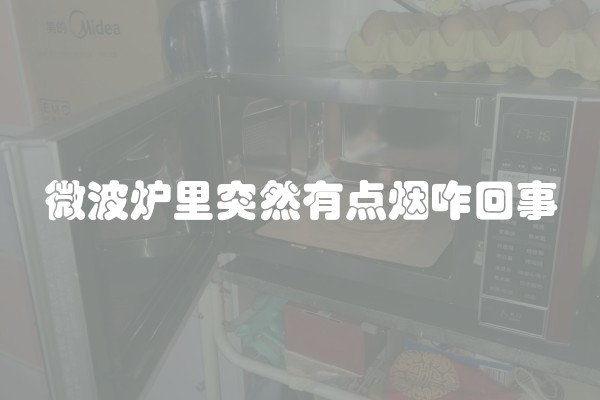微波炉里突然有点烟咋回事