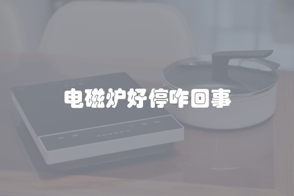 电磁炉好停咋回事