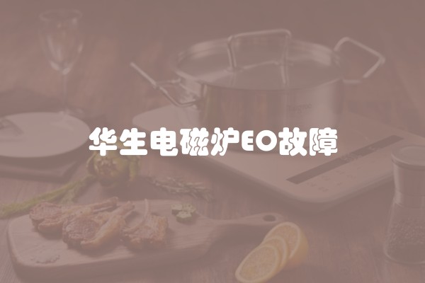 华生电磁炉EO故障