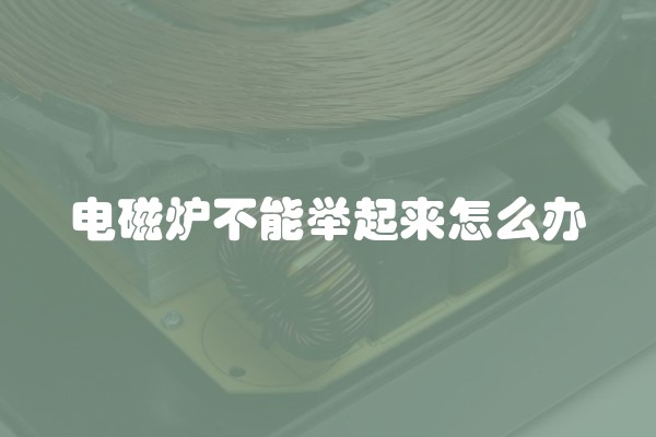 电磁炉不能举起来怎么办