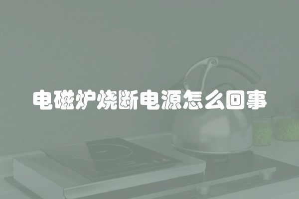 电磁炉烧断电源怎么回事