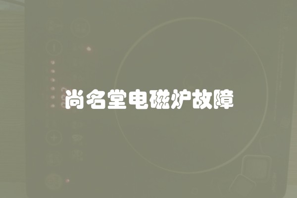 尚名堂电磁炉故障
